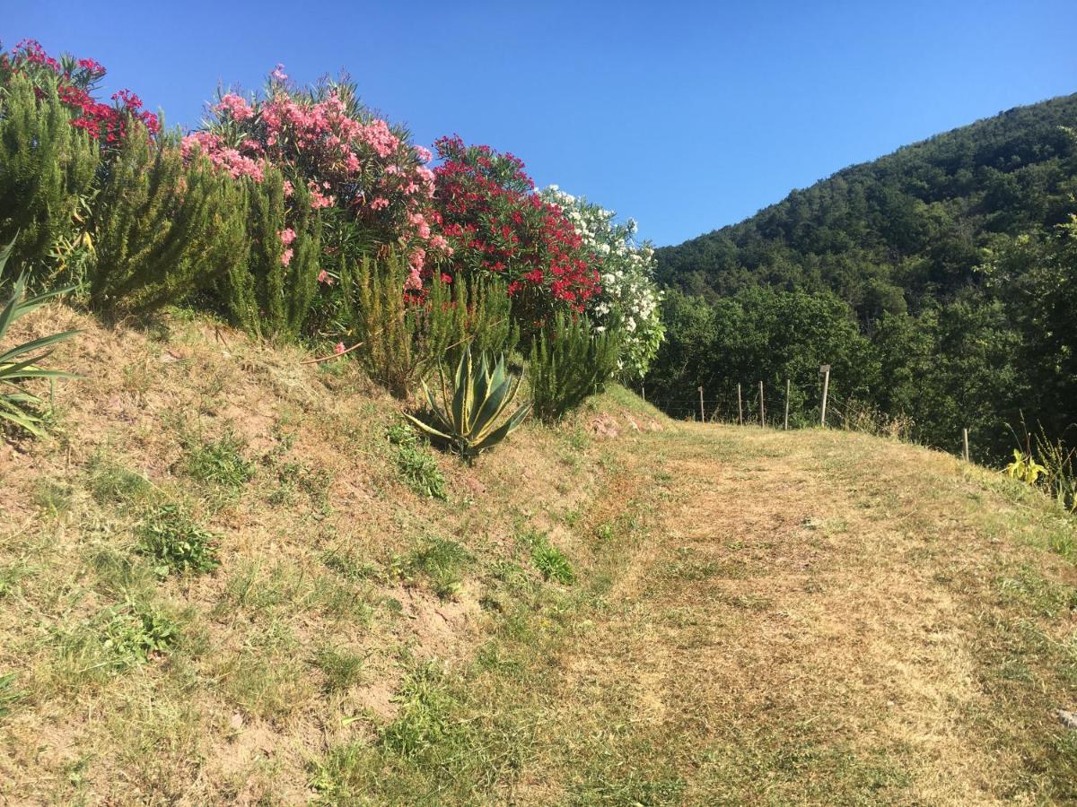 Cinque Terre, Tuscany, Liguria, Lerici #5 Dış mekan fotoğraf